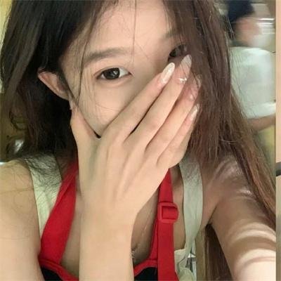 完美拍档2017